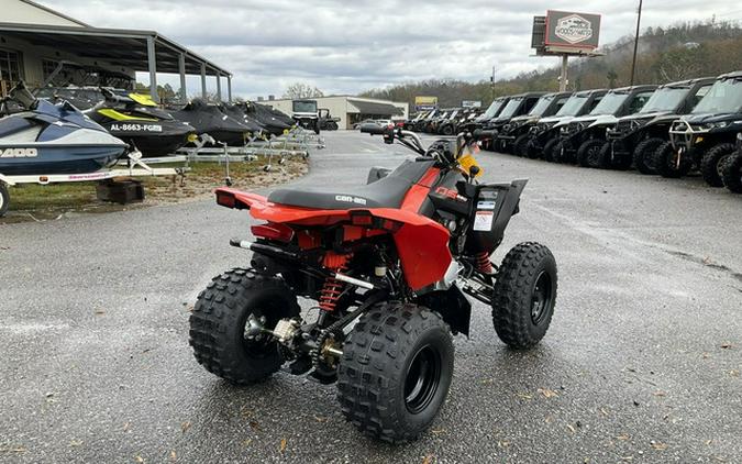 2026 Can-Am DS 250
