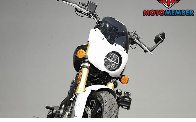 2025 Indian Motorcycle 101 SCOUT Ghost White Metallic with Graphics