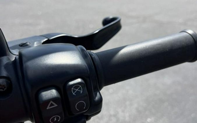 2020 Harley-Davidson XL883N - Sportster Iron 883
