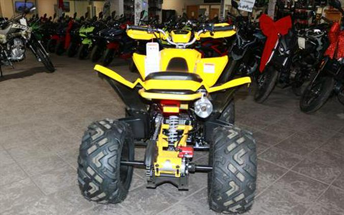 2025 Denago Powersports Daytona 250FI