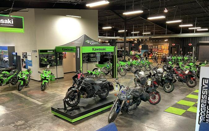 2025 Kawasaki Z650RS ABS