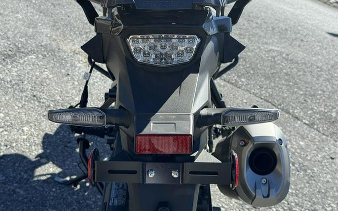 2025 Suzuki V-Strom 1050DE