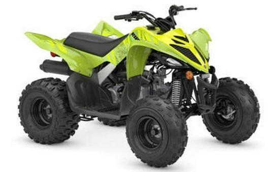 2026 Yamaha Raptor 110