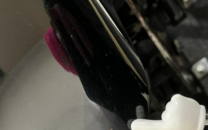 2015 Harley-Davidson Road Glide® Special