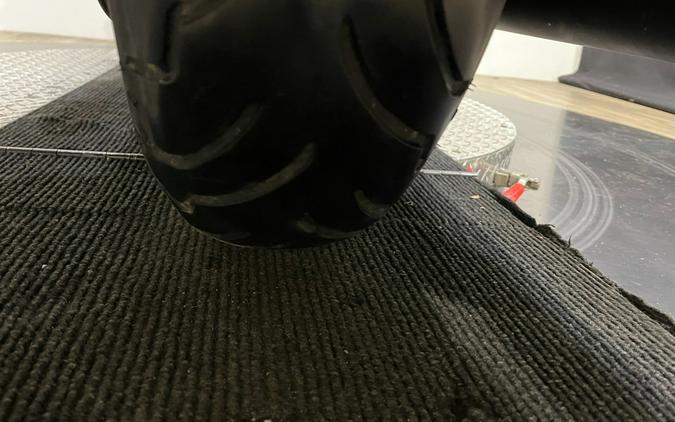 2015 Harley-Davidson Road Glide® Special