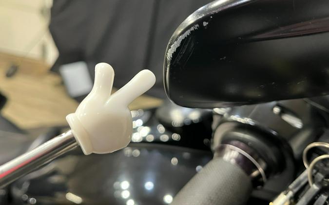 2015 Harley-Davidson Road Glide® Special