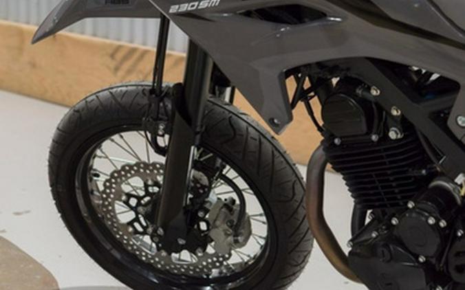 2025 Kawasaki KLX 230SM ABS