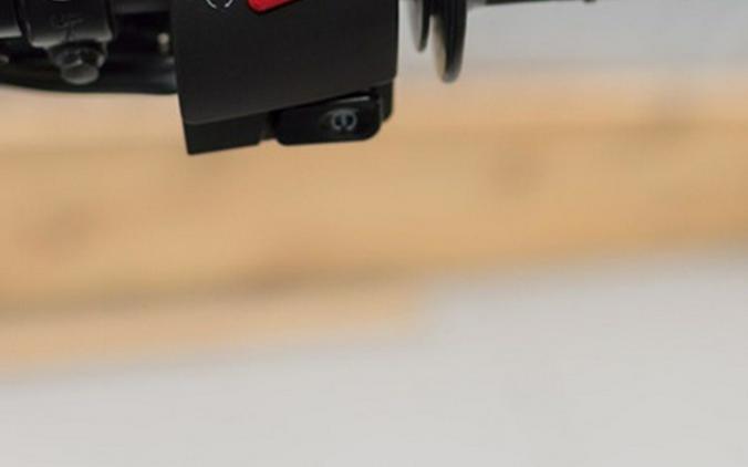 2025 Kawasaki KLX 230SM ABS