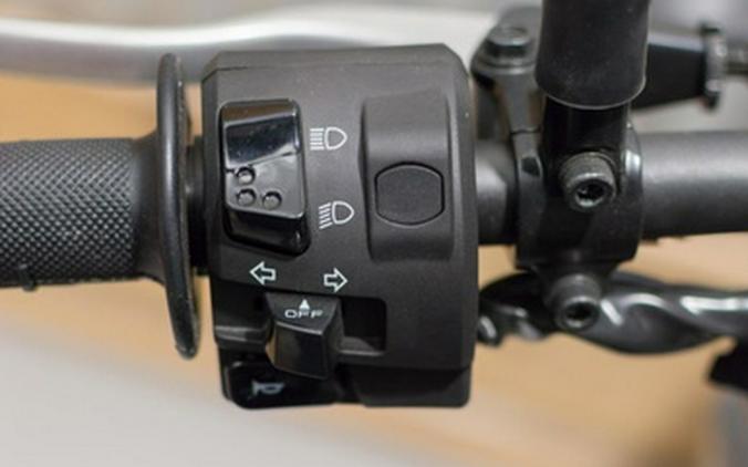 2025 Kawasaki KLX 230SM ABS