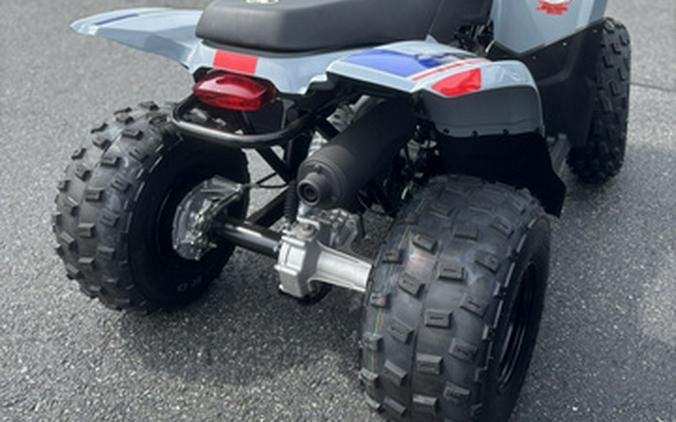 2026 Polaris Phoenix 200