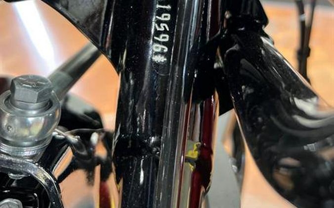 2025 Harley-Davidson Road Glide®