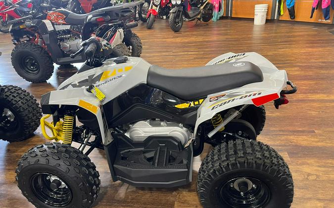 2024 Can-Am® Renegade 70 EFI