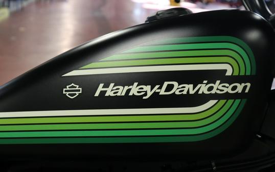 2021 Harley-Davidson Iron 1200™