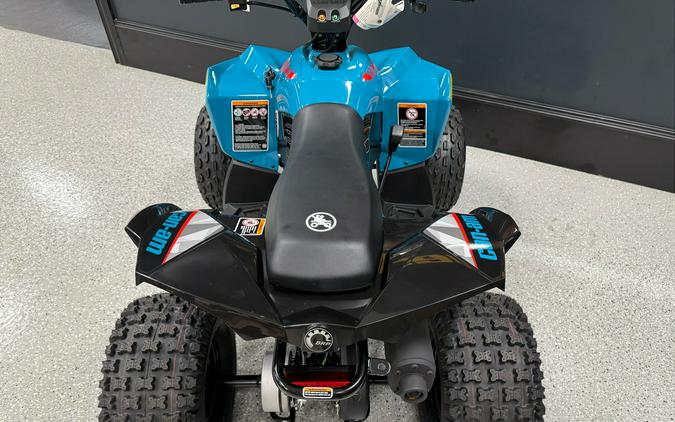2026 Can-Am Renegade 110 EFI
