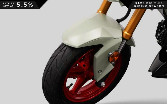 2023 Kawasaki Z125 PRO