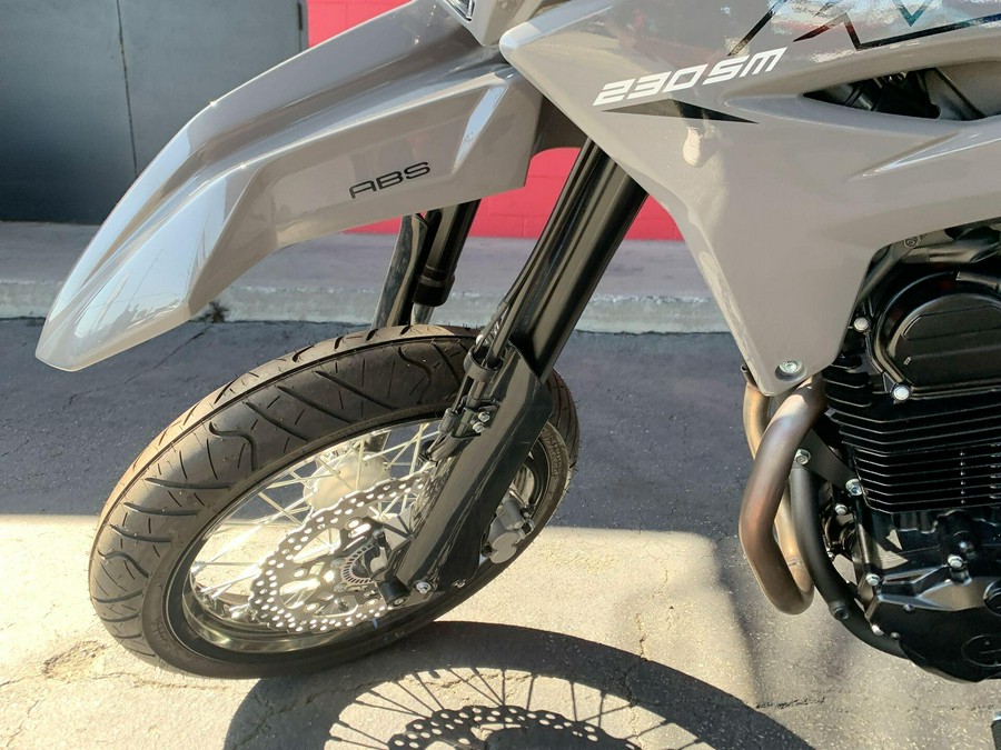 2025 Kawasaki KLX 230SM ABS