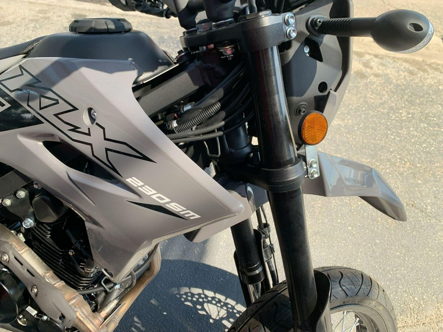 2025 Kawasaki KLX 230SM ABS