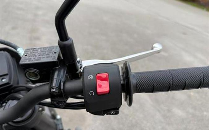 2025 Kawasaki KLX 300SM