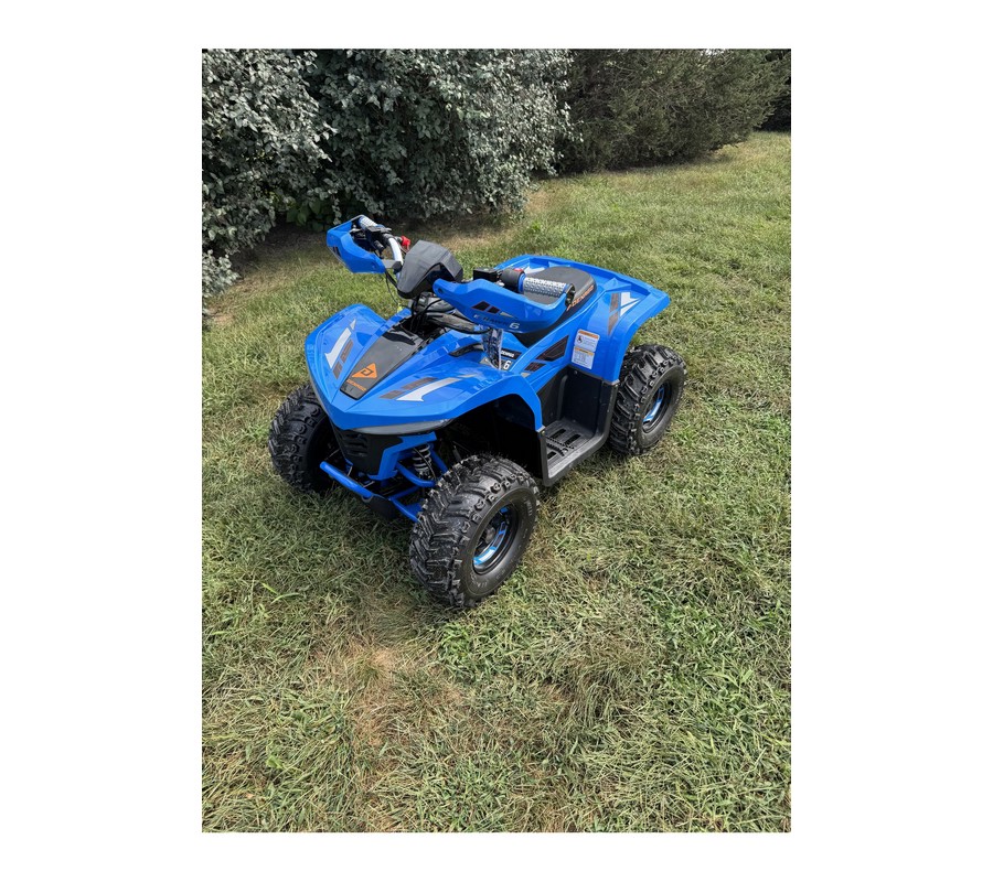 2026 E-Hawk 6 - Denago Powersports