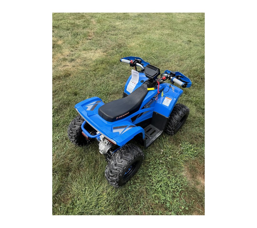 2026 E-Hawk 6 - Denago Powersports