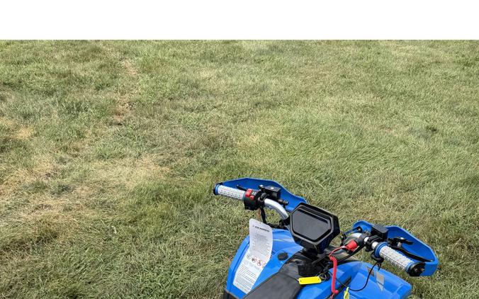2026 E-Hawk 6 - Denago Powersports