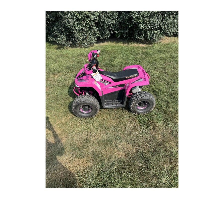 2026 E-Hawk 6 - Denago Powersports