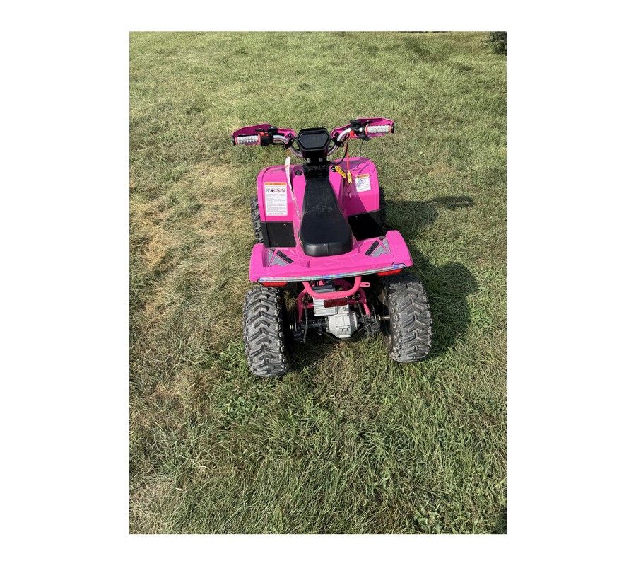 2026 E-Hawk 6 - Denago Powersports