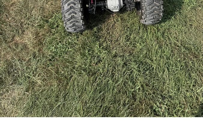2026 E-Hawk 6 - Denago Powersports