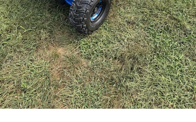 2026 E-Hawk 6 - Denago Powersports