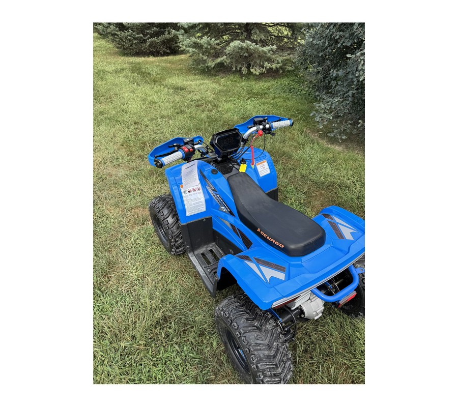 2026 E-Hawk 6 - Denago Powersports