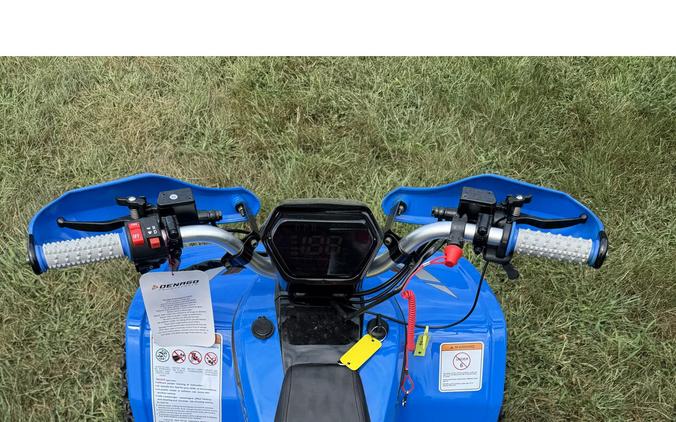 2026 E-Hawk 6 - Denago Powersports