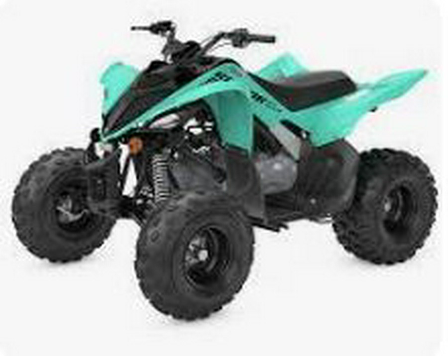 2024 Yamaha RAPTOR 110