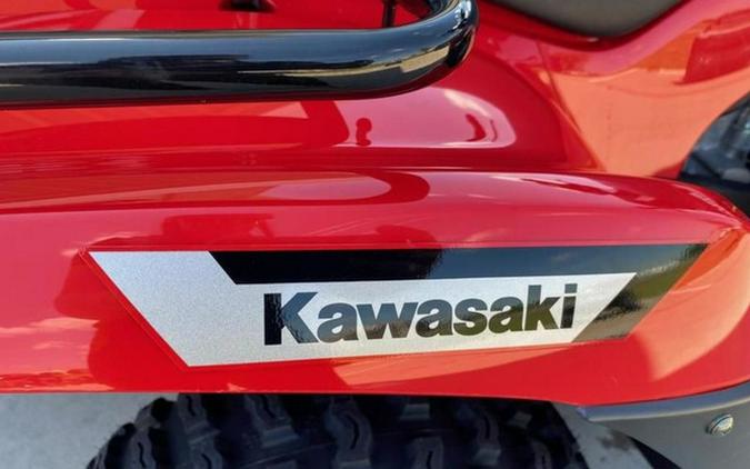 2026 Kawasaki Brute Force 300