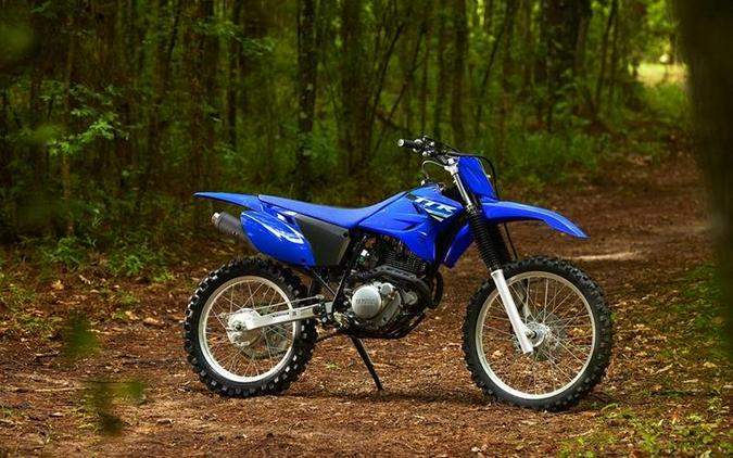 2025 Yamaha TT-R230