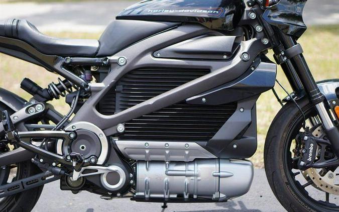 2020 Harley-Davidson® ELW - LiveWire™