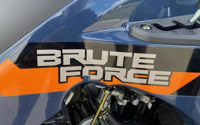 2026 Kawasaki Brute Force 300