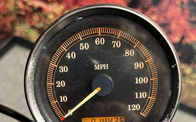 2007 Harley-Davidson Sportster® 883 Low