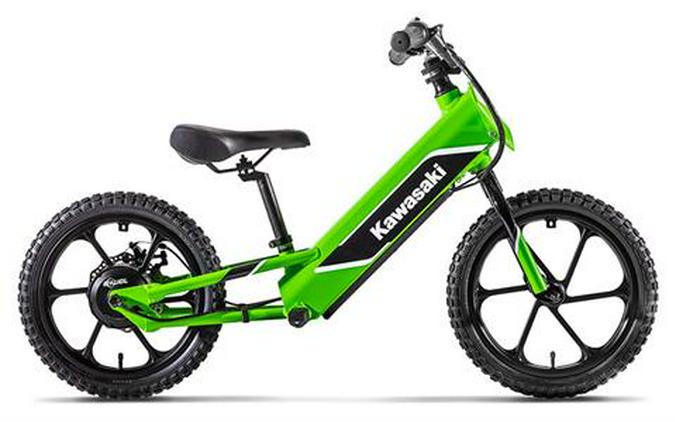 2024 Kawasaki Elektrode