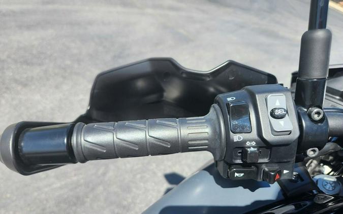 2024 Kawasaki Versys 650 LT ABS