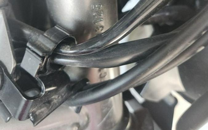 2024 Kawasaki Versys 650 LT ABS