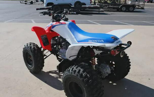 2026 HONDA TRX250X