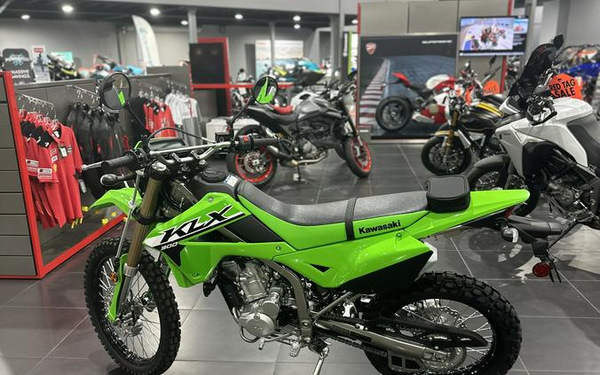 2024 KAWASAKI KLX 300