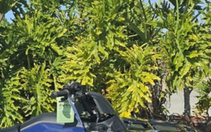 2026 Honda FourTrax Rancher 4X4 Automatic DCT IRS EPS