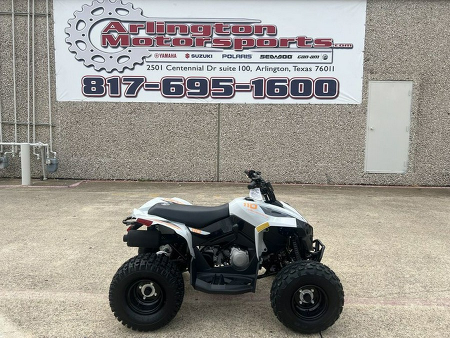 2027 Can-Am Renegade 110 EFI