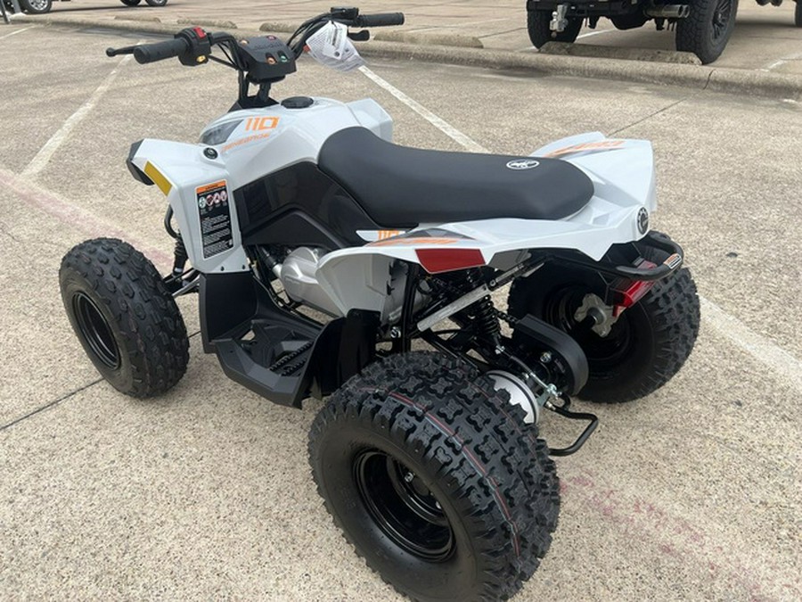 2027 Can-Am Renegade 110 EFI