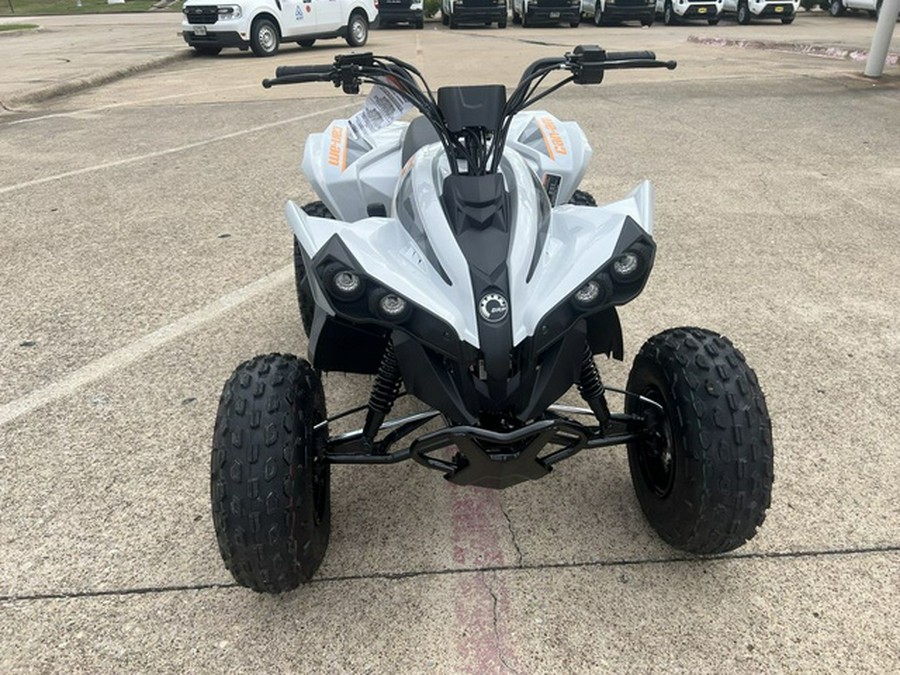2027 Can-Am Renegade 110 EFI