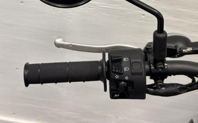 2026 Kawasaki KLX230SM ABS