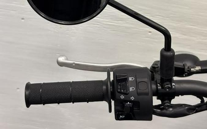 2026 Kawasaki KLX232GTFNL