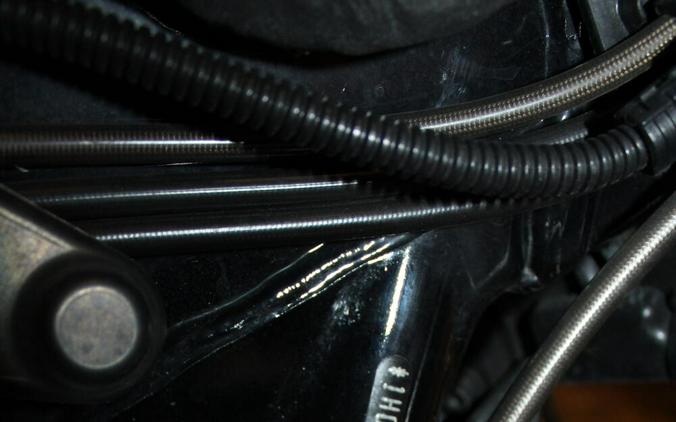 2021 Harley-Davidson® CVO™ Limited BRONZE ARMOR W/PINSTRIPE