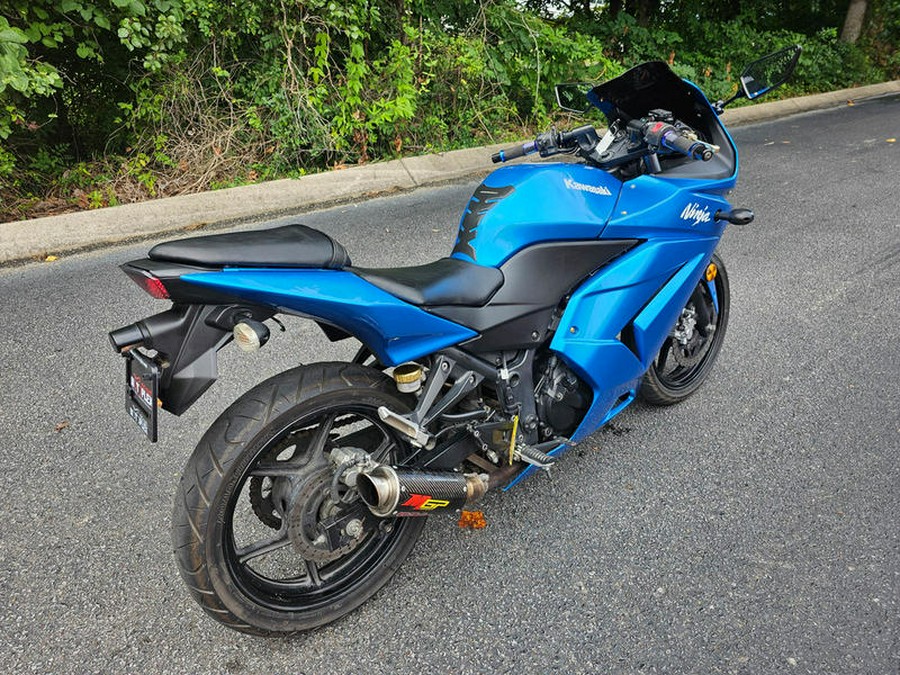 2010 Kawasaki Ninja® 250R